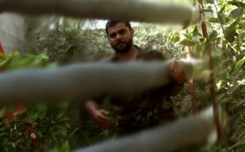 شادي السيقلي ‫(31043471)‬ ‫‬