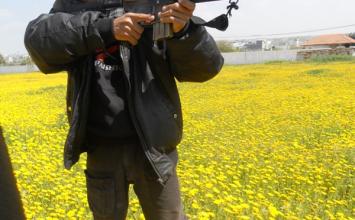 محمود نجم ‫(29929368)‬ ‫‬