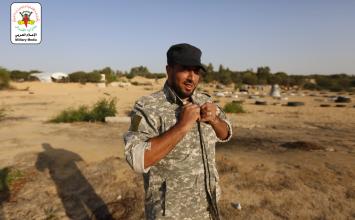 سامح عبد الحافظ (4)