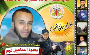 محمود نجم ‫(29929358)‬ ‫‬