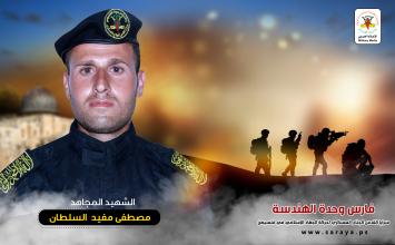 مصطفى السلطان