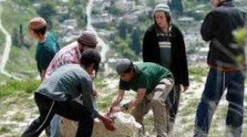 مستوطنو غوش عتصيون يطالبون بقطع أشجار الزيتون