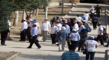60 مستوطنًا برفقة حاخامات يقتحمون المسجد الأقصى