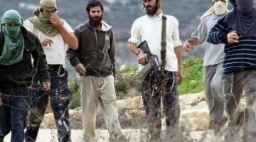 العدو: اختفاء 3 مستوطنين بالخليل منذ الليلة الماضية