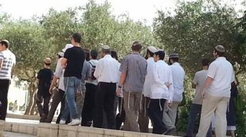 مستوطنون بقيادة المتطرف "غليك" يدنسون باحات الأقصى