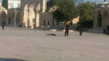 محكمة الاحتلال تقرر إعادة جثامين شهداء ام الفحم الثلاثة