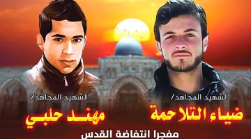 كليب العزم الثائر