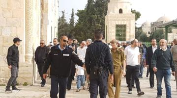 99 مستوطنا يقتحمون باحات "الأقصى" المبارك
