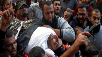 405f2a711b48d724987311f6cd4e6524