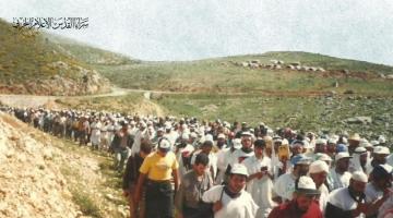 مرج