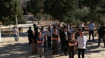 81 مستوطنًا يقتحمون الأقصى وسط قيود مشددة