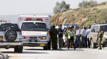 الذئاب البرية تنهش أجساد ستة مستوطنين قرب الجولان المحتل