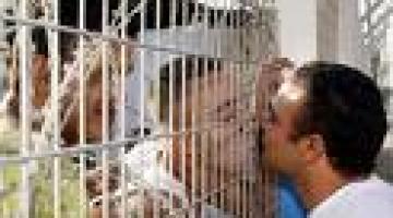 كافة أهالي أسرى قطاع غزة و70% من أهالي أسرى جنين ممنوعين من زيارة أبنائهم