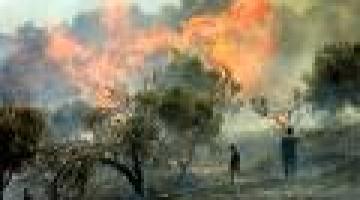 المستوطنين الصهاينة يحرقون مزروعات ويعتدون على مواطنين قرب قلقيلية