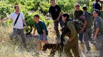 بعد نوايا حكومتهم إخلاء نقاط استيطانية..المغتصبون يخططون لارتكاب عمليات إرهابية بالضفة المحتلة