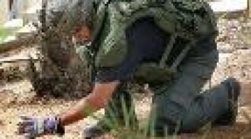 مصادر صهيونية: سقوط صاروخ فلسطيني بالنقب الغربي دون وقوع اصابات