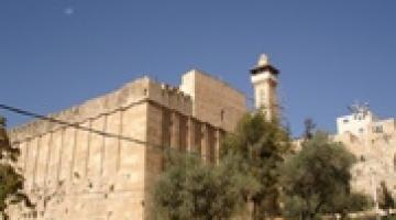 جنود صهاينة يقطعون أشجار الزيتون في محيط الحرم الإبراهيمي في الخليل