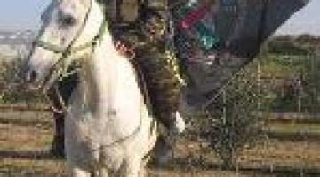 رمضان شهر الجهاد في سبيل الله