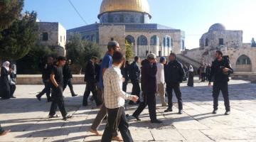 مستوطنون صهاينة يقتحمون باحات الأقصى