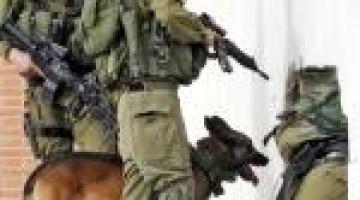 جنين: الاحتلال يداهم منزلا في الفندقومية ويكثف من تواجده العسكري جنوب المدينة