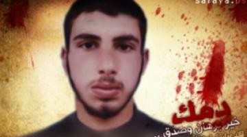 "استدراج الأغبياء".. بين صدق الدماء وحقيقة الادعاء !!