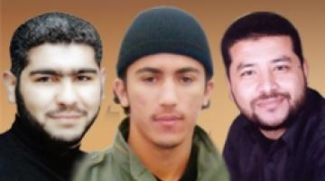 "مجاهدون".. سطروا بدمائهم صفحات من المجد والشموخ وكتبوا التاريخ بمداد الدم الزكيّ والأشلاء الطاهرة