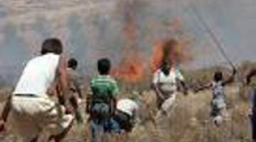 قطعان المستوطنين بحماية الاحتلال يحرقون عشرات الدونمات الزراعية بجنين