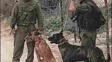 كلاب صهيونية لمواجهة سفن المساعدات الى غزة!!