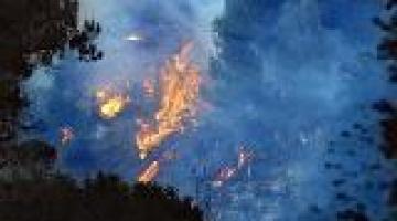 حرائق الكرمل تكشف عجز الكيان الصهيوني