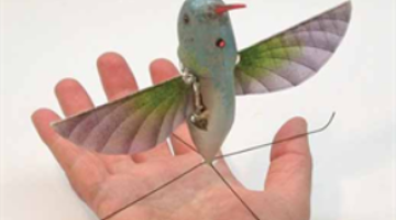 بالفيديو ... عصفور آلي للتجسس بتكلفة 4 ملايين دولار