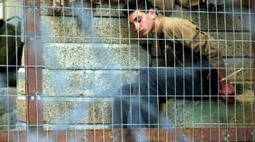 محكمة صهيونية تصدر حكما بالسجن الفعلي  ستة شهور على الطفل أبو رحمة