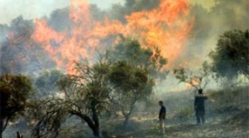 مستوطنون يشعلون النار في أراضي زراعية جنوب نابلس