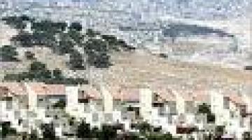 مستوطن يستأجر 50 دونماً من أراضي شمال الضفة بشيكل واحد