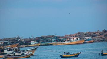 "الشاباك" يُكّثف نشاطه في بحر غزة
