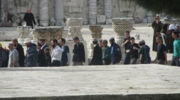 بالصور.. المغتصبون وجنود الاحتلال يستبيحون الأقصى