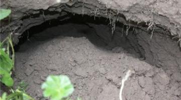 انهيار ترابي جديد جنوب الأقصى بسبب حفريات الاحتلال