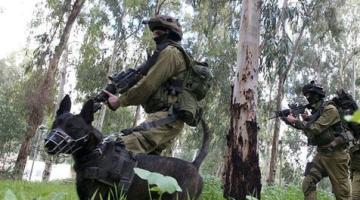 العدو يشرعُ بتدريباتٍ حول غلاف غزة