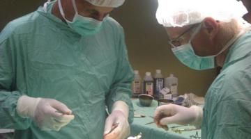 الكيان الصهيوني يعاني من هجرة العقول الأكاديمية