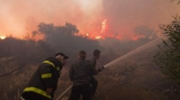 عشرات الحرائق في الداخل المحتل بسبب ارتفاع الحرارة