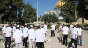 متطرفون صهاينة يدعون لاقتحام الأقصى