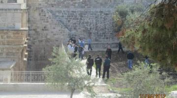 الاحتلال يقرر بناء متحف وسط سلوان قبالة الأقصى