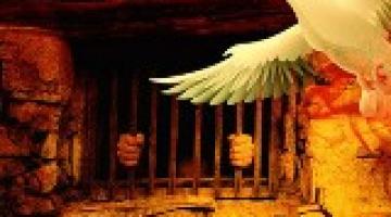 نص البيان .. قيادة الإضراب تصدر بيان "الانتصار"