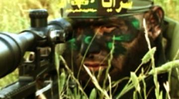 كليب "يا سرايا"