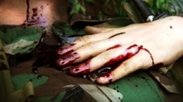 اليوم.. يعود العظماء مكللين بورد الغار