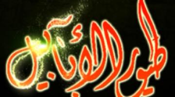 كليب "إحنا طيور الأبابيل"