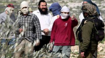 مستوطنو 'روتم' يستولون على مزيد من اراضي الأغوار الشمالية