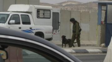 وحدة الكلاب في جيش العدو تتدرب على مركبات الفلسطينيين