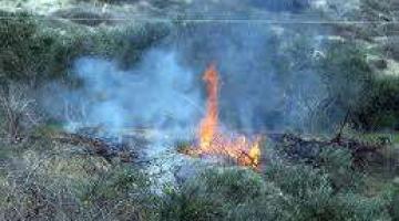 نيران الاحتلال تحرق محاصيل زراعية شرق خانيونس