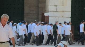 لليوم الثالث.. مستوطنون يقتحمون المسجد الأقصى