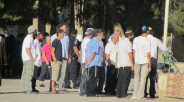 بالصور:  مستوطنون يقتحمون الأقصى ويتجولون في باحاته